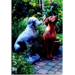 Stone Pointer statue